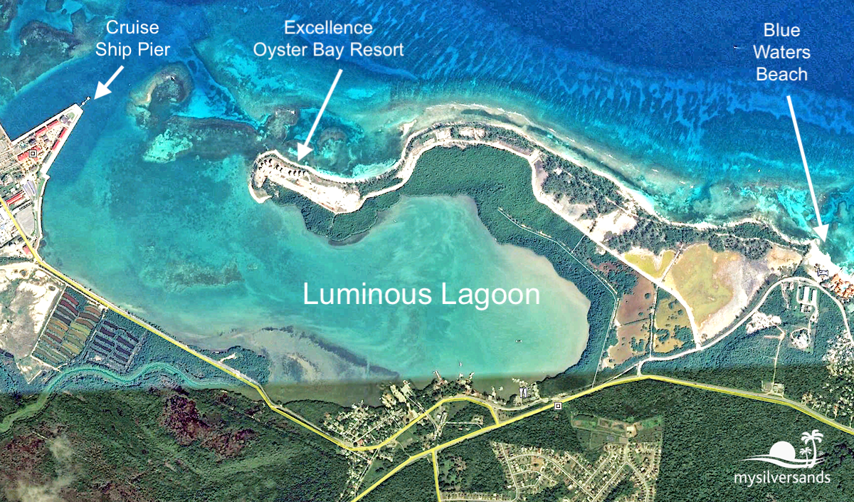 Dark Moon Paddle Safari on the Luminous Lagoon